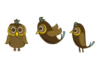 Pitta gurney bird vector