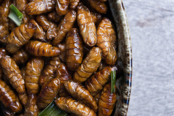Fried silk worms