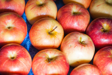 Red ripe apples