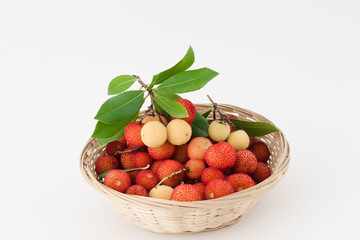 arbutus
