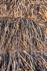Straw