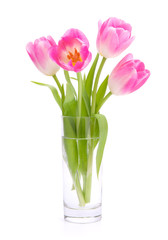 Pink tulips bouquet in vase isolated on white background