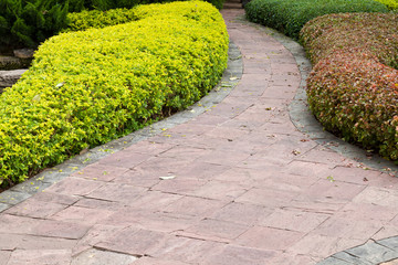 The path in the garden.