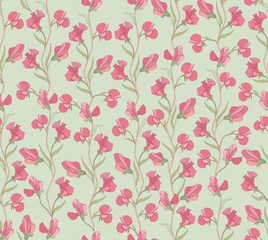 Flower pea seamless background. Floral spring pattern.
