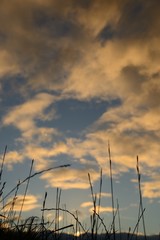 Calm before the storm