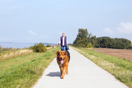 Spaziergang auf Ummanz