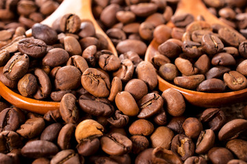 Coffee crop