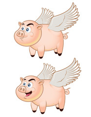 Flying Pig