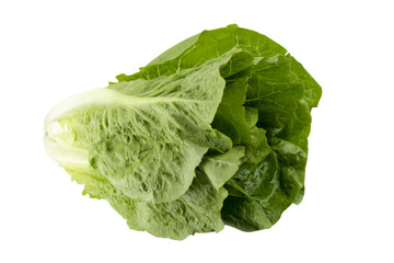 Romain Lettuce