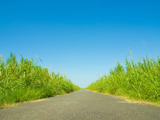 blue sky and promenade