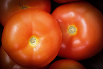 Close up Red tomatoes