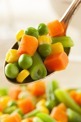 Steamed Organic Vegetable Medly