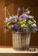 Bouquet of medicinal herbs on a wooden background
