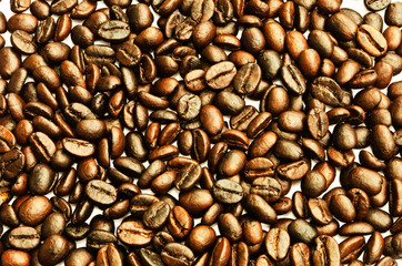 coffee beans