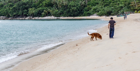 Dog and owner stroll to the beach
