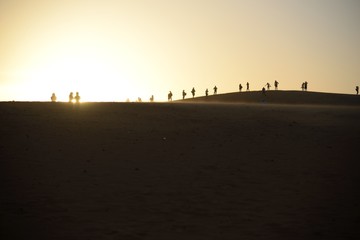 Group of people silhouetted against setting sun