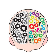 Brain mechanisms