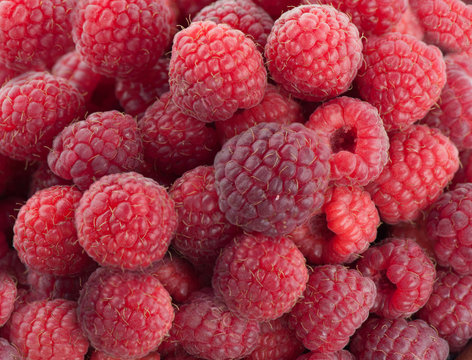 Sweet red raspberries close up