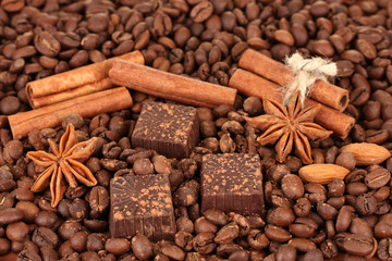 Chocolate sweets with cocoa,spices and nuts,