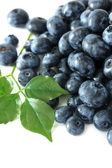 Blueberries isolated on white