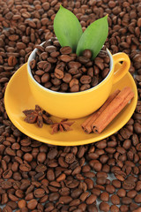 Coffee beans in cup close-up