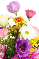 Beautiful flowers on bright background