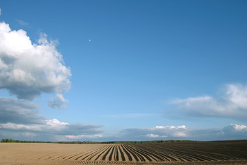 Plough agriculture field before sowing background