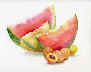 Beautiful watercolor watermelon - 56379002