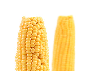 Boiled corns on a white background.