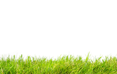 Gras