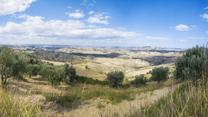 Fototapeta na wymiar country landscape in basilicata, southern italy