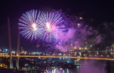 Fototapeta na wymiar Colorful fireworks over city.