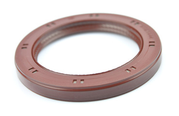 Oil seal
