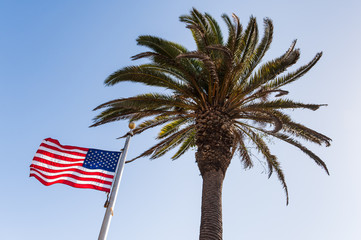 The palm tree and the american flag under the blue sky