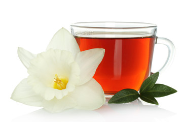 Cup of tea with flower and leaves on white background.