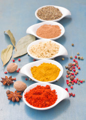 colorful plates spices on blue  table