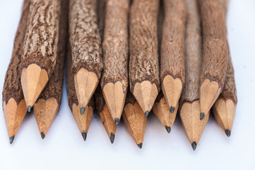 bunch of pencils stylized two branch. isolated on the white