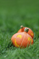 two Halloween pumpkins walking on grass