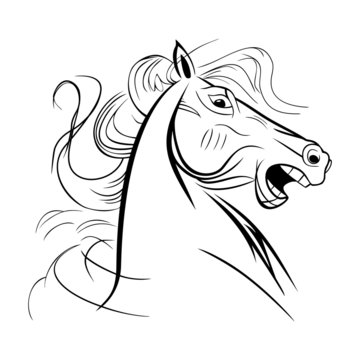 Unbridled wild neighing horse close up head