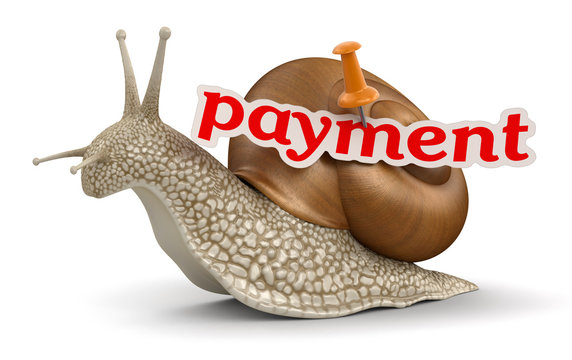 payment Snail (clipping path included)