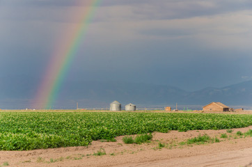 Rainbow and Storm Clouds over a Farm