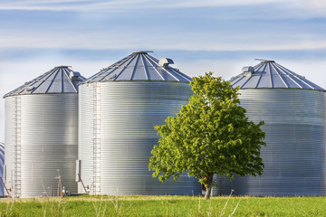 Grain Tanks