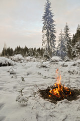 Campfire in the winter forest
