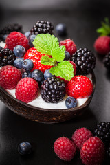 Sorbet for Christmas with forest fruit