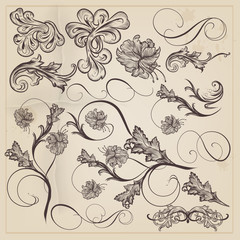 Set of vector calligraphic decorative swirls for design