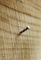 Nagel in Wand