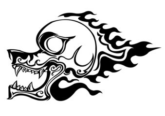 fire skull illustration