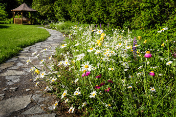Wildflower garden and path to gazebo - 56400615
