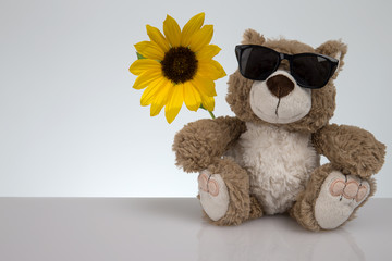 Teddy mit Sonnenblume