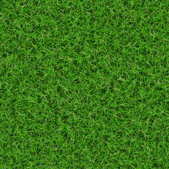 Bright Green Grass